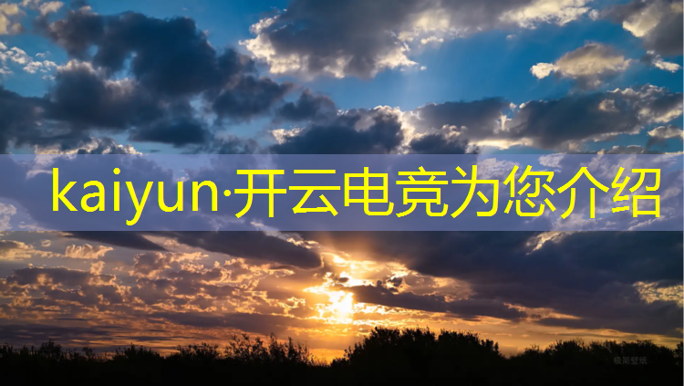 开云电竞为您介绍：加拿大电竞专业的大学